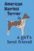 American Hairless Terrier Is a Girl's Best Friend