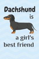 Dachshund Is a Girl's Best Friend