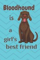 Bloodhound Is a Girl's Best Friend