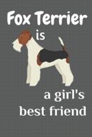 Fox Terrier Is a Girl's Best Friend