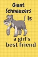 Giant Schnauzers Is a Girl's Best Friend
