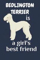 Bedlington Terrier Is a Girl's Best Friend