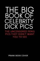 The Big Book of Celebrity Dick Pics - The Uncensored Penis Pics They Didn't Want You To See - Prank Book Cover