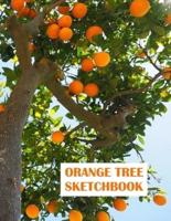 Orange Tree Sketchbook