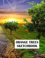 Orange Trees Sketchbook