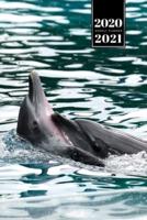 Dolphin Beluga Whale Porpoise Dolphinfish Week Planner Weekly Organizer Calendar 2020 / 2021 - Dance in Water