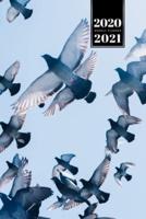 Pigeon Ornithology Bird Watching Birding Week Planner Weekly Organizer Calendar 2020 / 2021 - Under Blue Sky