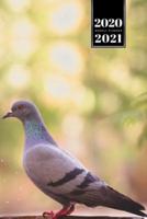 Pigeon Ornithology Bird Watching Birding Week Planner Weekly Organizer Calendar 2020 / 2021 - Summer Day