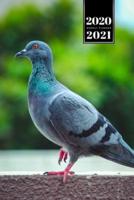 Pigeon Ornithology Bird Watching Birding Week Planner Weekly Organizer Calendar 2020 / 2021 - Stand on One Leg