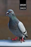 Pigeon Ornithology Bird Watching Birding Week Planner Weekly Organizer Calendar 2020 / 2021 - Shouting to Friends