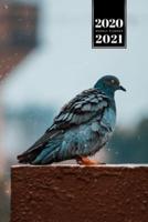 Pigeon Ornithology Bird Watching Birding Week Planner Weekly Organizer Calendar 2020 / 2021 - Wet Weather