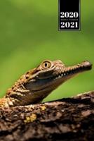 Crocodile Alligator Gharial Caiman Reptile Week Planner Weekly Organizer Calendar 2020 / 2021 - Small Cheeky