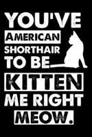You've American Shorthair To Be Kitten Me Right Meow