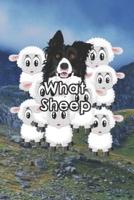 What Sheep