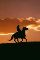 2020 Daily Planner Horse Photo Equine Galloping Cowboy Silhouette 388 Pages
