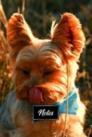 Yorkshire Terrier Dog Pup Puppy Doggie Notebook Bullet Journal Diary Composition Book Notepad - Sunset In High Grass