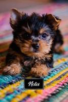 Yorkshire Terrier Dog Pup Puppy Doggie Notebook Bullet Journal Diary Composition Book Notepad - Baby On Carpet