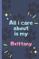 All I Care About Is My Brittany Dog - Notebookz