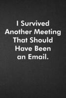 I Survived Another Meeting That Should Have Been An Email.