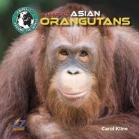 All About Asian Orangutans