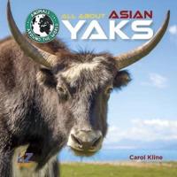 All About Asian Yaks