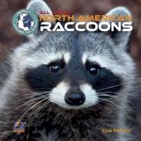 All About North American Raccoons