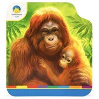 Smithsonian Kids Orangutans