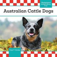 Australian Cattle Dogs