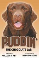 Puddin':  The Chocolate Lab