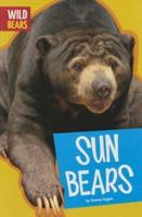 Sun Bears