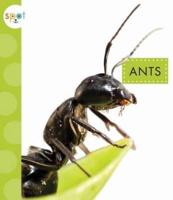 Ants