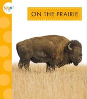 On the Prairie