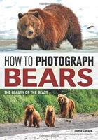 How To Photograph Bears