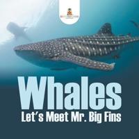Whales - Let's Meet Mr. Big Fins