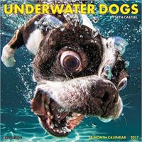 Underwater Dogs