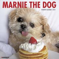 Marnie the Dog 2018 Wall Calendar (Dog Breed Calendar)