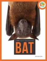 Bat-Spotlight