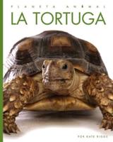 La Tortuga