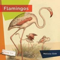 Flamingos