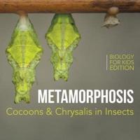 Metamorphosis: Cocoons & Chrysalis in Insects   Biology for Kids Edition
