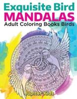 Exquisite Bird Mandalas