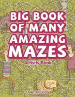 Big Book of Many Amazing Mazes Activity Book