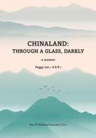 Chinaland:  Through a glass, darkly