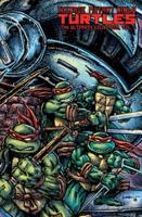 Teenage Mutant Ninja Turtles Vol. 7 The Mirage Covers