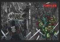 Teenage Mutant Ninja Turtles Volume 4