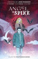 Angel & Spike. Volume 2