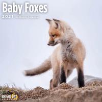 Baby Foxes 2021