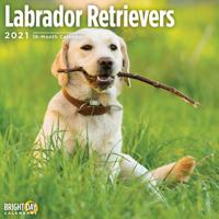 Labrador Retrievers 2021
