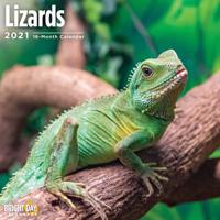 Lizards 2021