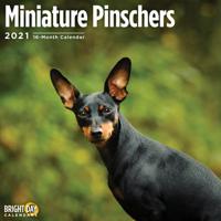 Miniature Pinschers 2021